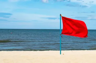 OFM Blog - Latest News, Updates, Guides and Tips